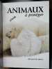 Animaux à protéger [Relié] by De Wetter Bernard. Bernard de Wetter (Auteur) Marie SANSON (Avec la contribution de) Rolland NELLISSEN (Illustrations)