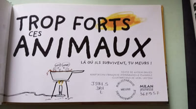Trop forts ces animaux ! là où ils survivent tu meurs