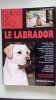 Le labrador. Ginoulhiac Luisa