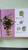 Petites creations: et recreations 4-8 ans. Boisnard Annette
