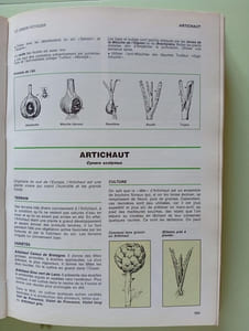 Comment on soigne son jardin