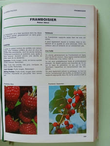 Comment on soigne son jardin