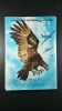 Rapaces n°323. 