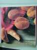 50 recettes de pain. Jaine Tom  Hurst Jacqui