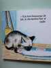 Le petir chat. 