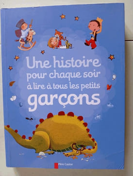 Une histoire pour chaque soir a lire a tous les petits garcons. Collectif