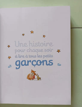 Une histoire pour chaque soir a lire a tous les petits garcons. Collectif