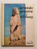 Grande prairie. Walt Disney