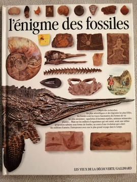 L'enigme des fossiles. Taylor Paul