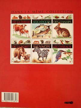 ANIMAUX DE LA FORET: L'imagerie des animaux de la forêt. Selley Lindsey Beaumont Emilie