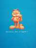Garfield les pieds dans l'eau. 