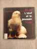 L'Oeuf Et Le Poussin. Back Christine  Olesen Jens