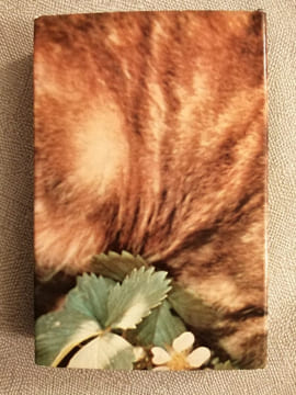 L'art de vivre avec un chat. WAILLY PHILIPPE DE