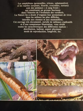 Les amphibiens et les reptiles / collection "les animaux du monde entier". undefined