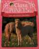 Clara et les poneys: Les Nouveaux Poulains (2). Mirej Mireille  Pilorget Bruno