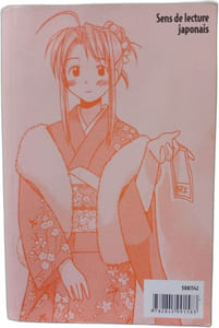 Love Hina tome 2
