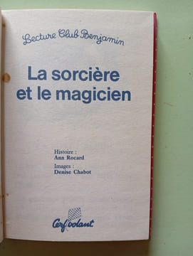 La sorciére et le magicien. Ann Rocard