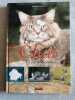 Le chat la vie de animaux. Isabelle Collin