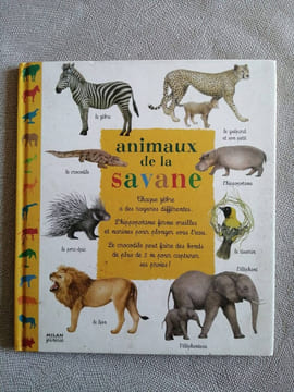 Animaux De La Savane. Fichaux Catherine Haward Christian