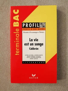 Profil d'une oeuvre : La vie est un songe Calderon