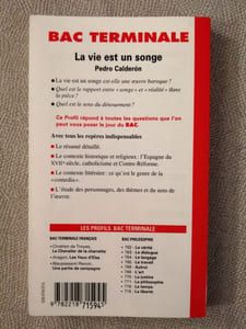 Profil d'une oeuvre : La vie est un songe Calderon