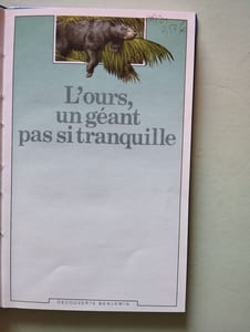 L'Ours un géant pas si tranquille