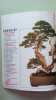 L'art du Bonsai. 