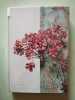 Foret vierge. Ferreira De Castro