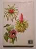 PLANTES DE LA MAISON. Jiri Haager