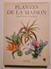 PLANTES DE LA MAISON. Jiri Haager