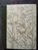 Sante et beaute par les plantes. Jeanne Audy Jean Fondin