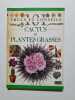Cactus et plantes grasses. Hewitt  Terry