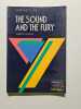 William Faulkner "Sound and the Fury": Notes (York Notes). Nicholson C.E.  Stevenson R. W