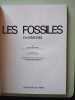 Fossiles invert&eacute;br&eacute;s. 