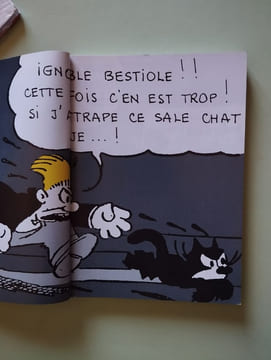 Les neufs vies du chat. Laurence Bobis