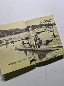 A l'orée de la forêt vierge