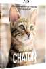 Une vie de chaton [Blu-ray] [FR Import]. Garbutt Jackie