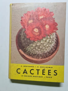 Cactées