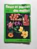 Fleurs et plantes des Antilles. Jacques Fournet