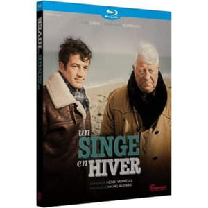 Un singe en hiver [Blu-ray] [FR Import]
