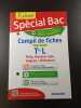 Compil de fiches Tout en un Tle L Philo Histoire-G&eacute;o Anglais Litt&eacute;rature. 