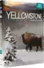 Yellowstone la lutte pour la vie [Blu-ray] [FR Import] (NEUF SOUS BLISTER). Firth Peter  Firth Peter