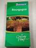 Le Guide Vert Bourgogne. 