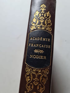 Academie française Nodier Romans