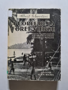 A l'oree de la foret vierge