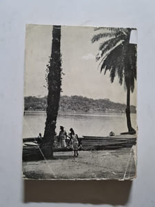 A l'oree de la foret vierge