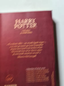 Harry Potter à l'école des sorciers