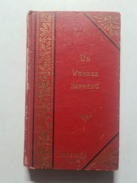 Un voyage imprévu. undefined