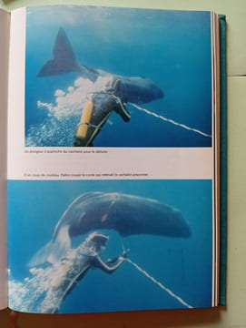 Nos amies les baleines. Jacques-Yves Cousteau et Philippe Diolé