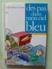 DES PAS DANS MON CIEL BLEU. BRUN COSME NADINE